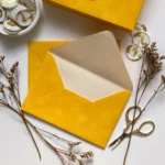 Plicuri din catifea lemon - imagine 3