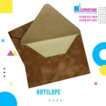 Plicuri din catifea antilope