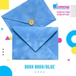 Plicuri din catifea blue