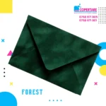 Plicuri din catifea forest