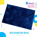 plicuri din catifea albastru royal