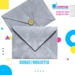 Plicuri din catifea argintiu