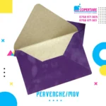 Plicuri din catifea mov