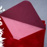 Plicuri din catifea rosu - imagine 2