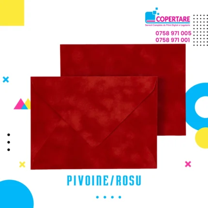 plicuri din catifea pivoine