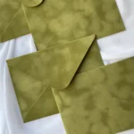 Plicuri din catifea toundra - imagine 4